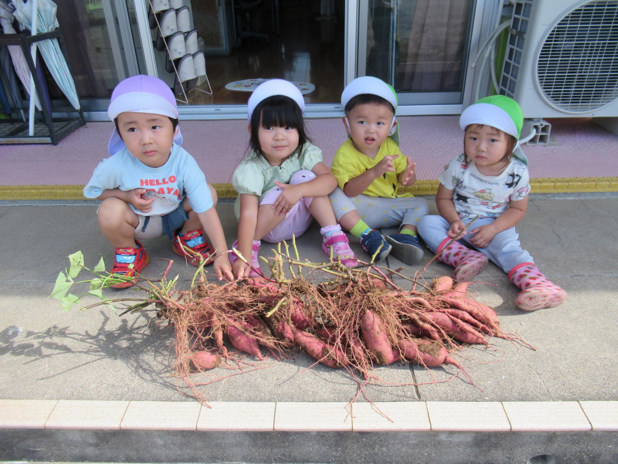 いただいたお芋