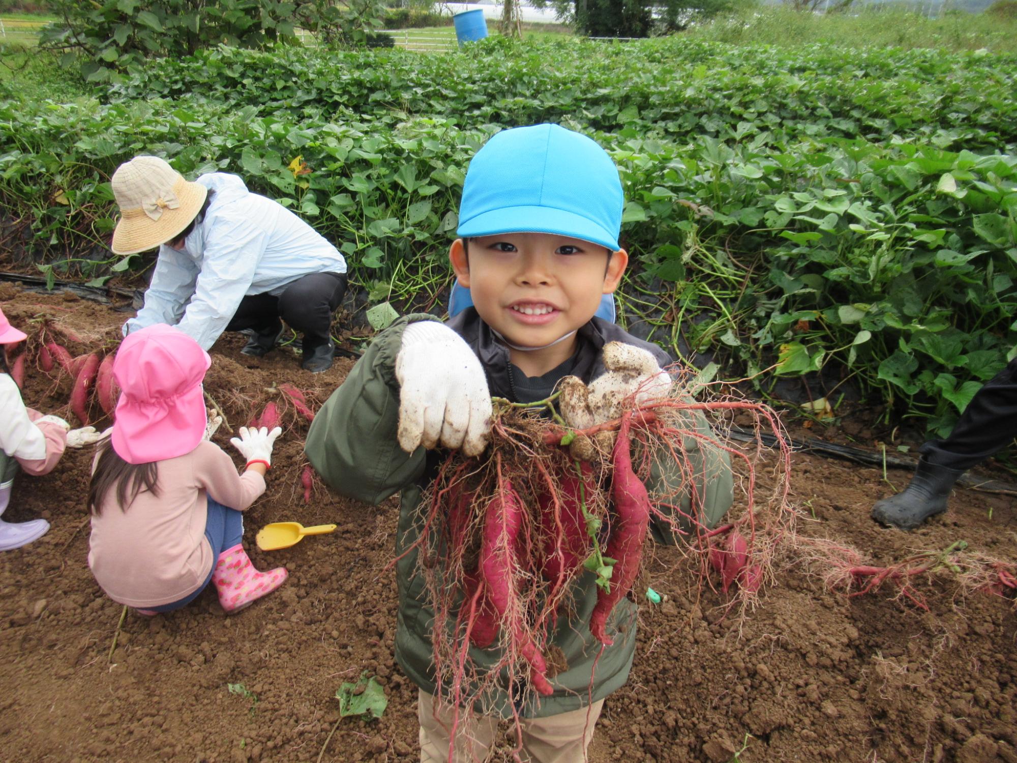 一本の蔓からこんなに