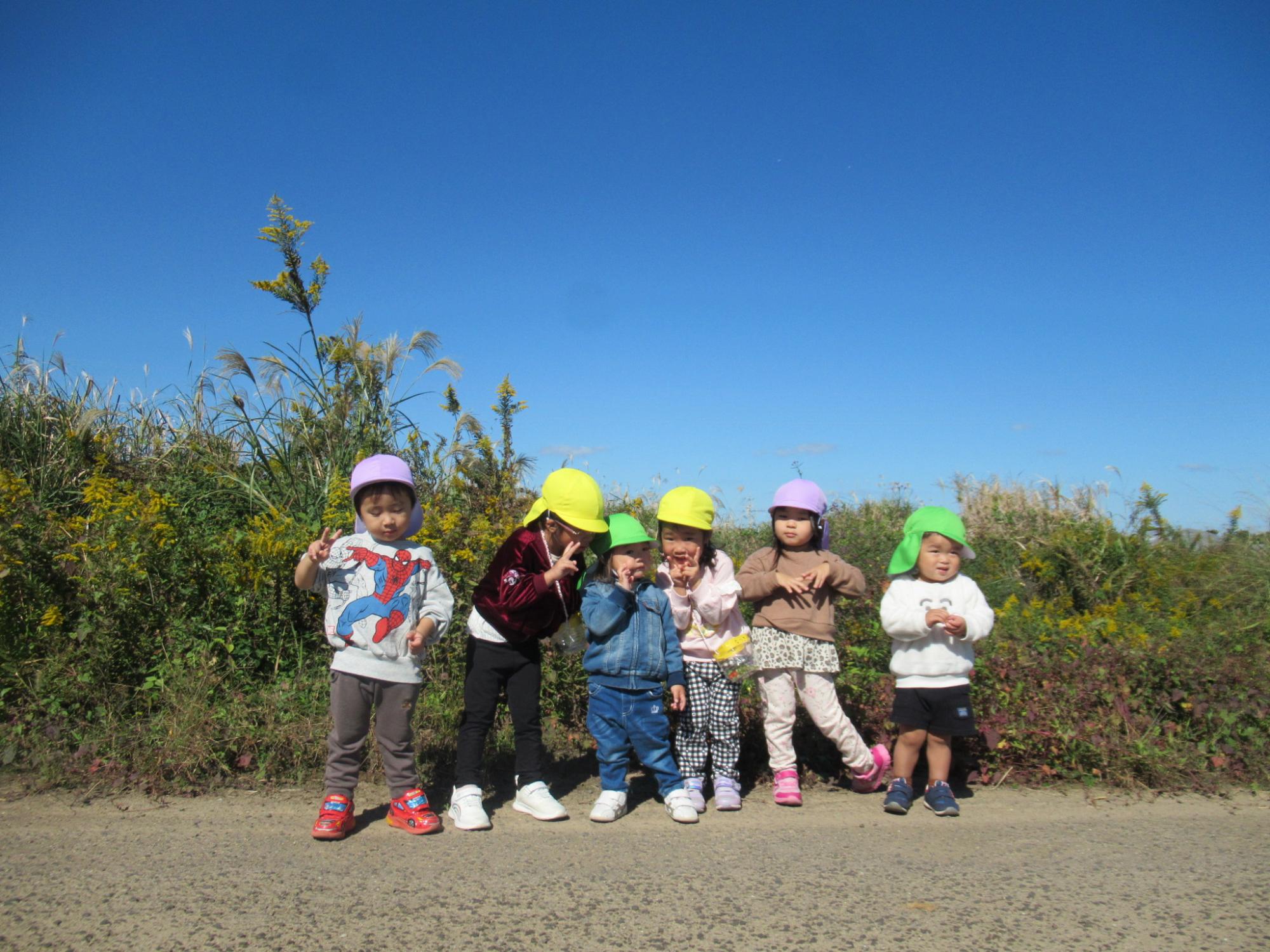 あきばれの中の散歩