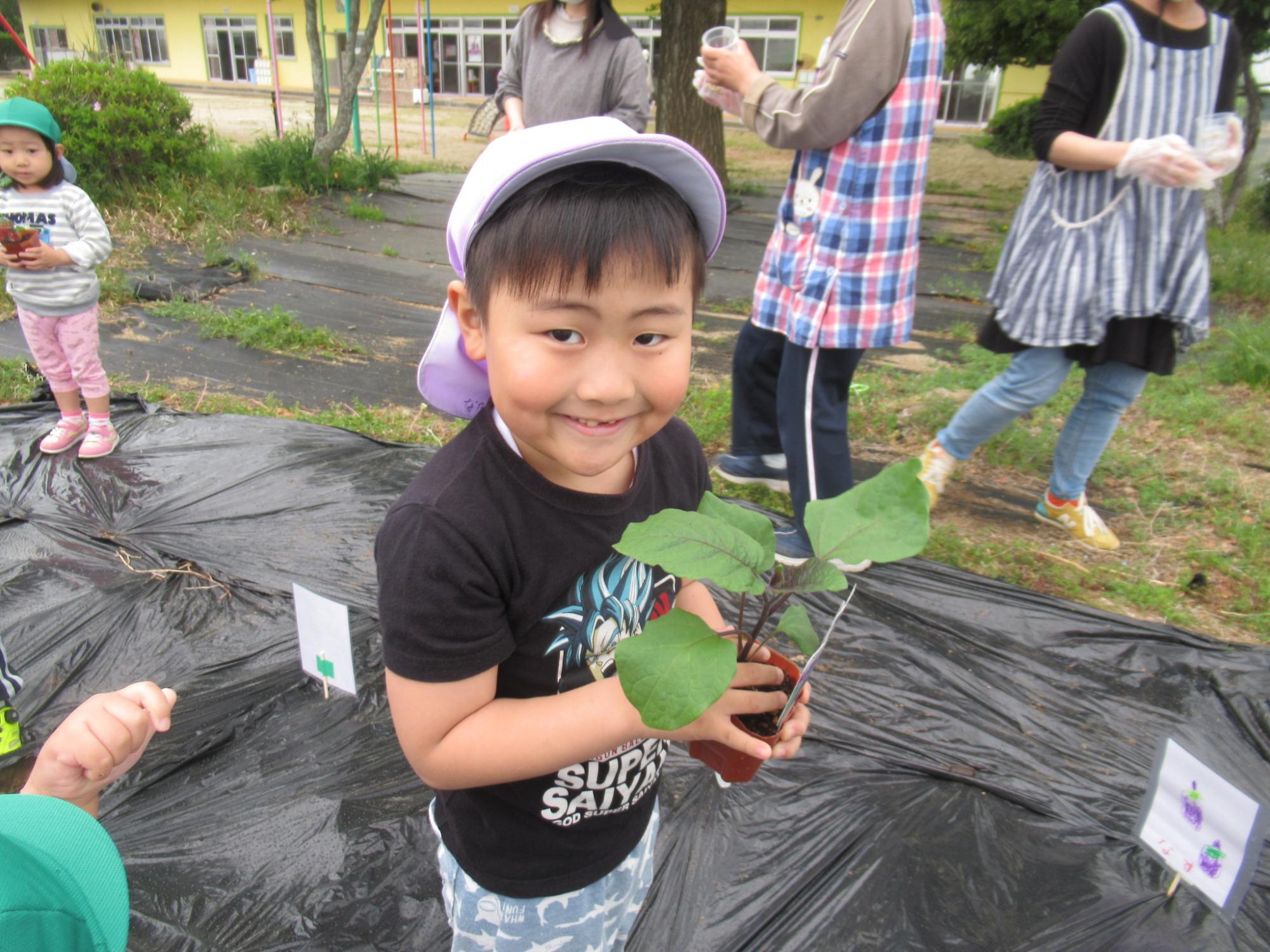 なすを植えるよ