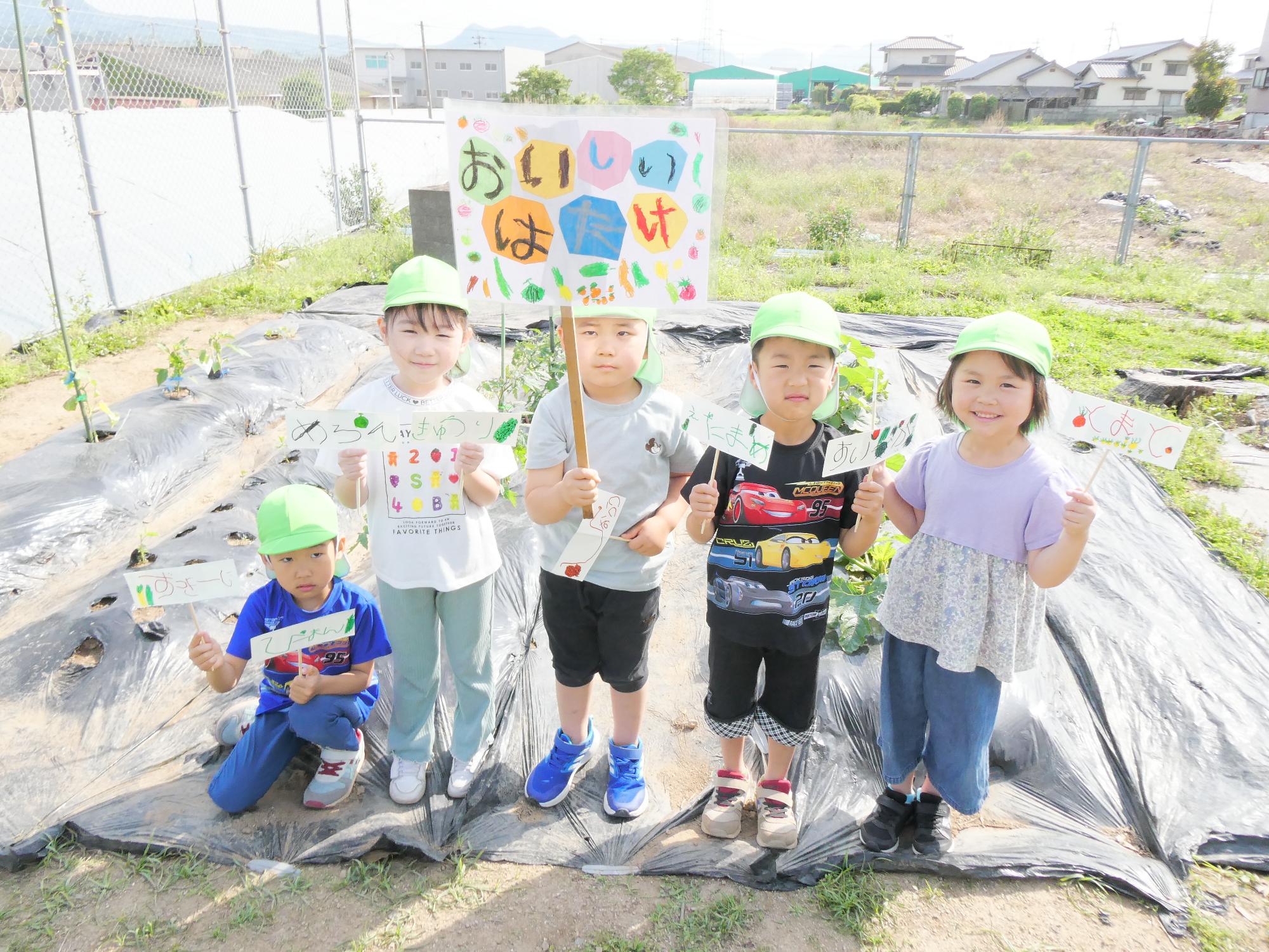 おいしい畑