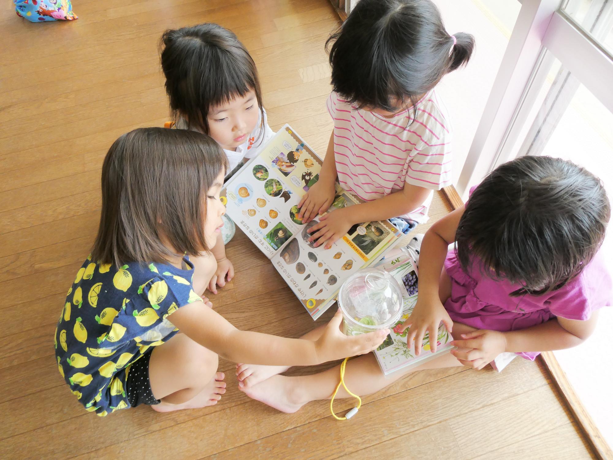観察して図鑑で調べたよ