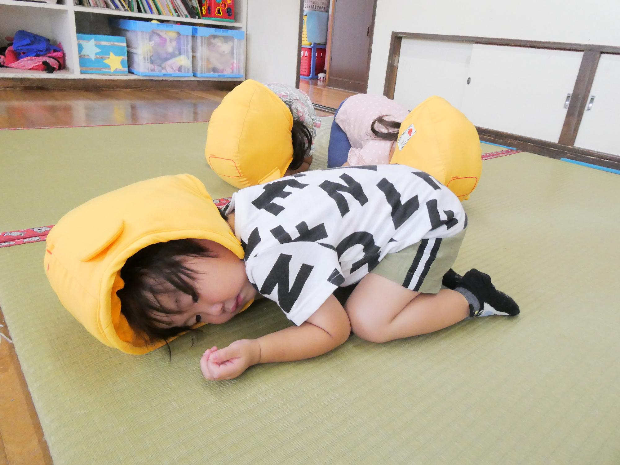 ダンゴ虫
