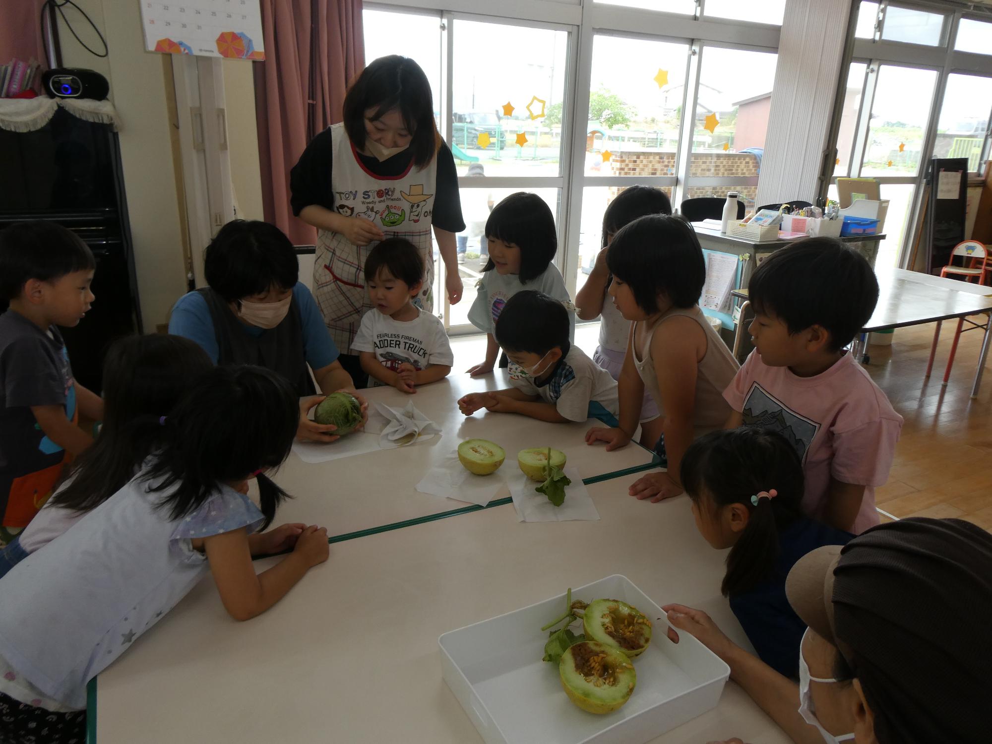 メロンの試食