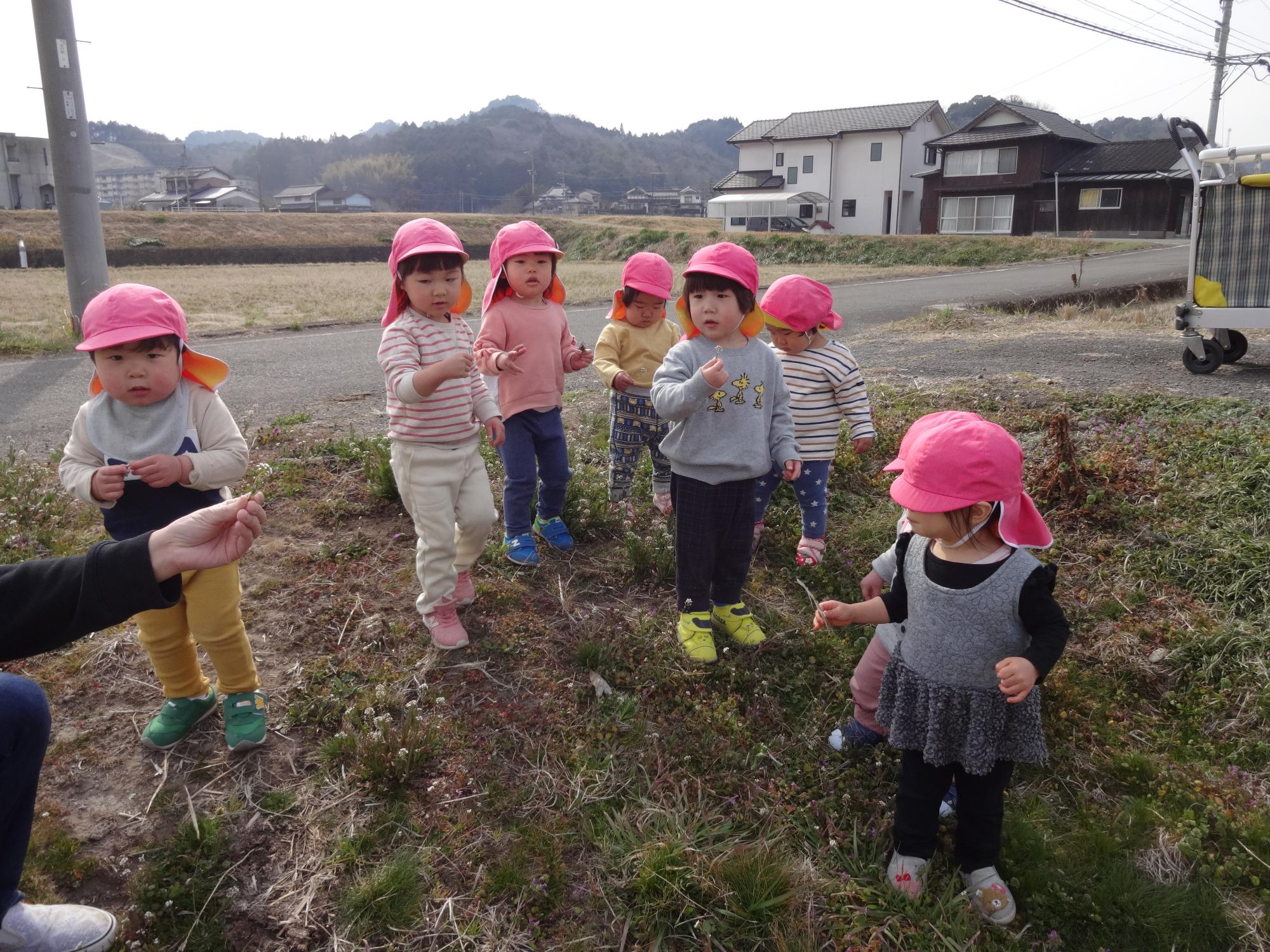 つぼみ組散歩