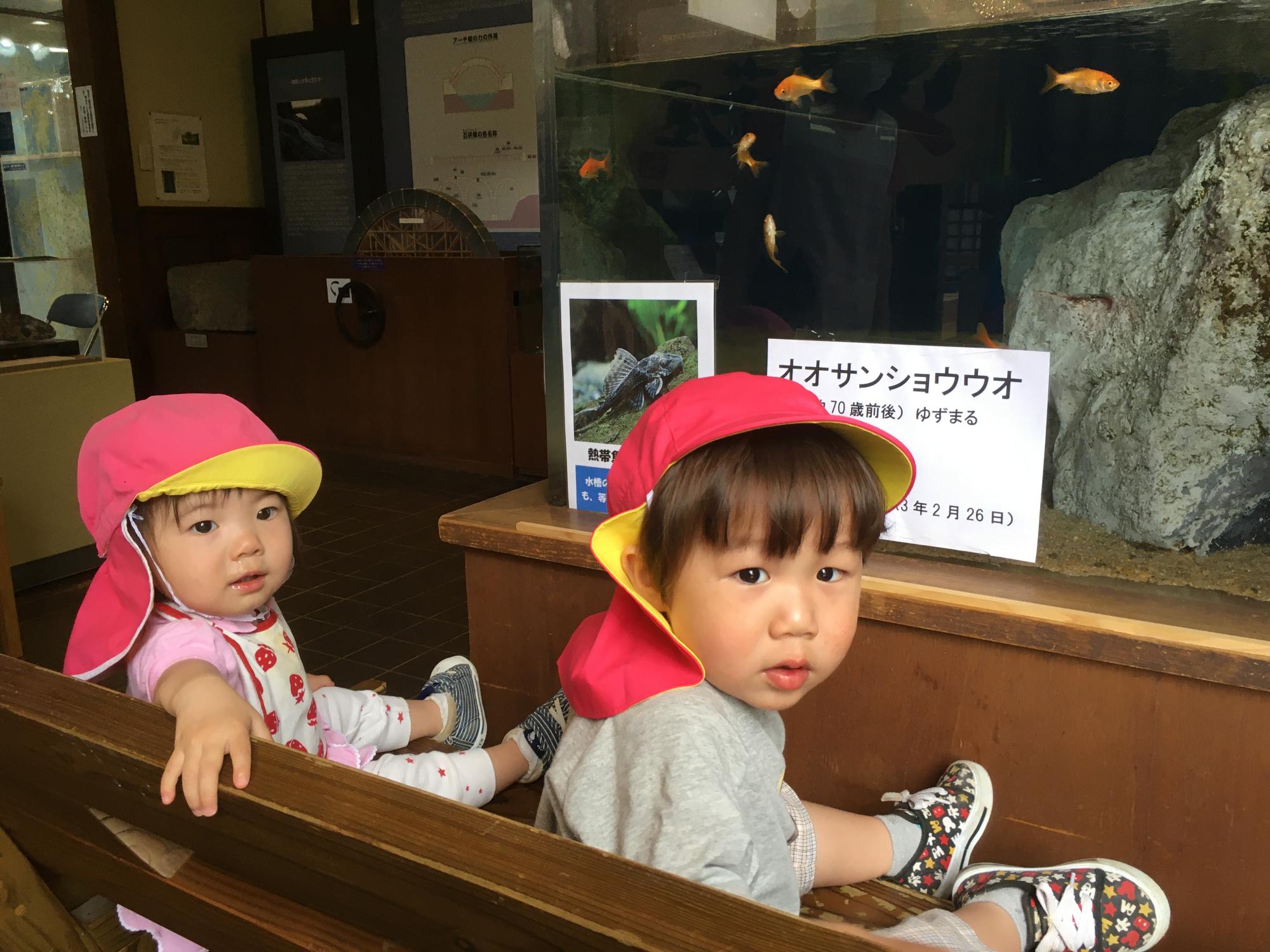 道の駅の中、オオサンショウウオはいなかった、少し休憩、