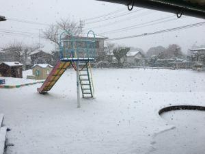 雪化粧の園庭