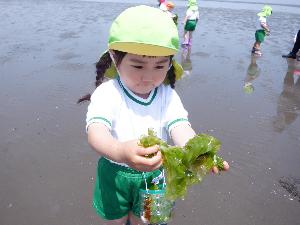 わかめ