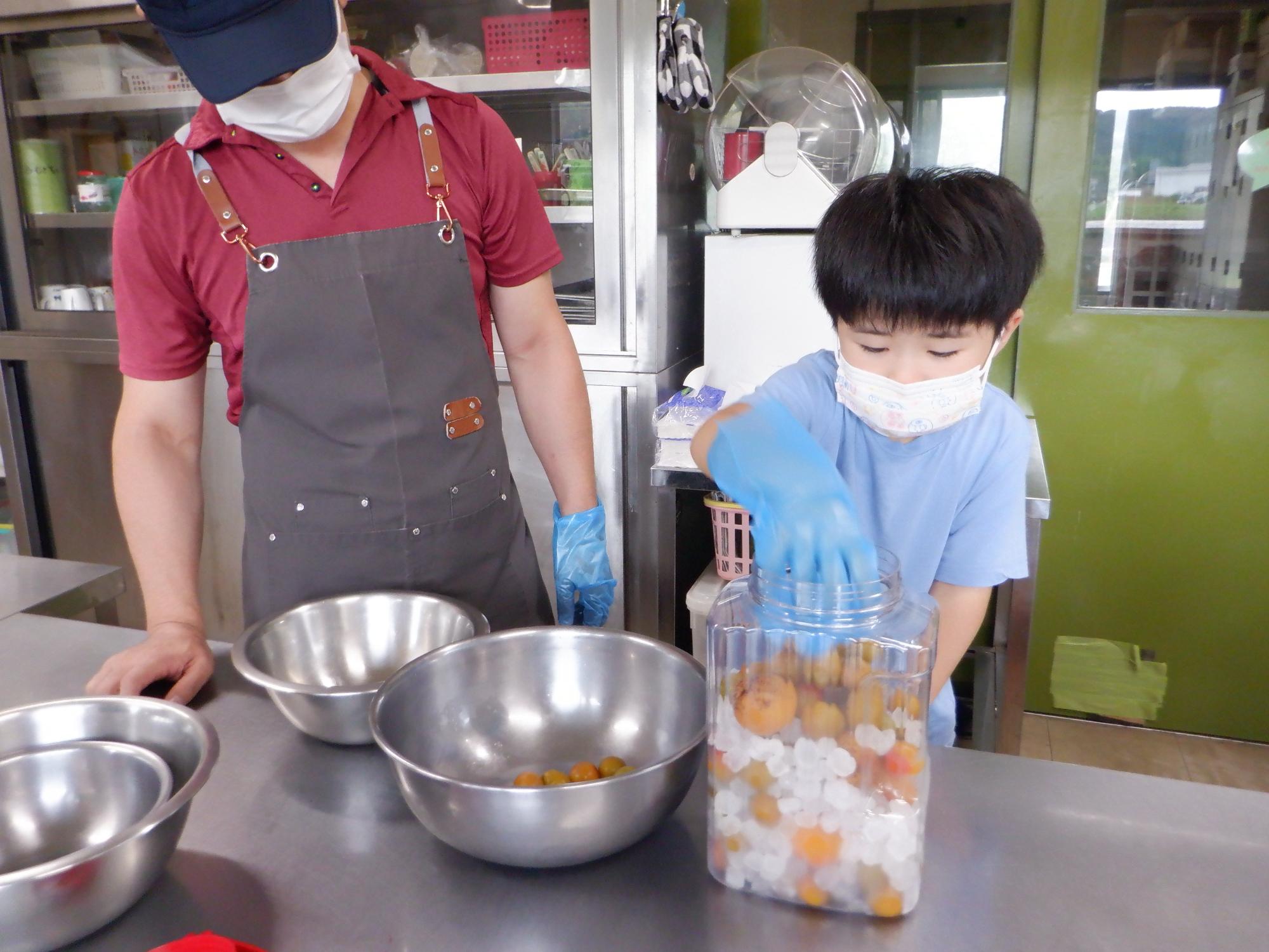 梅シロップ作りに挑戦