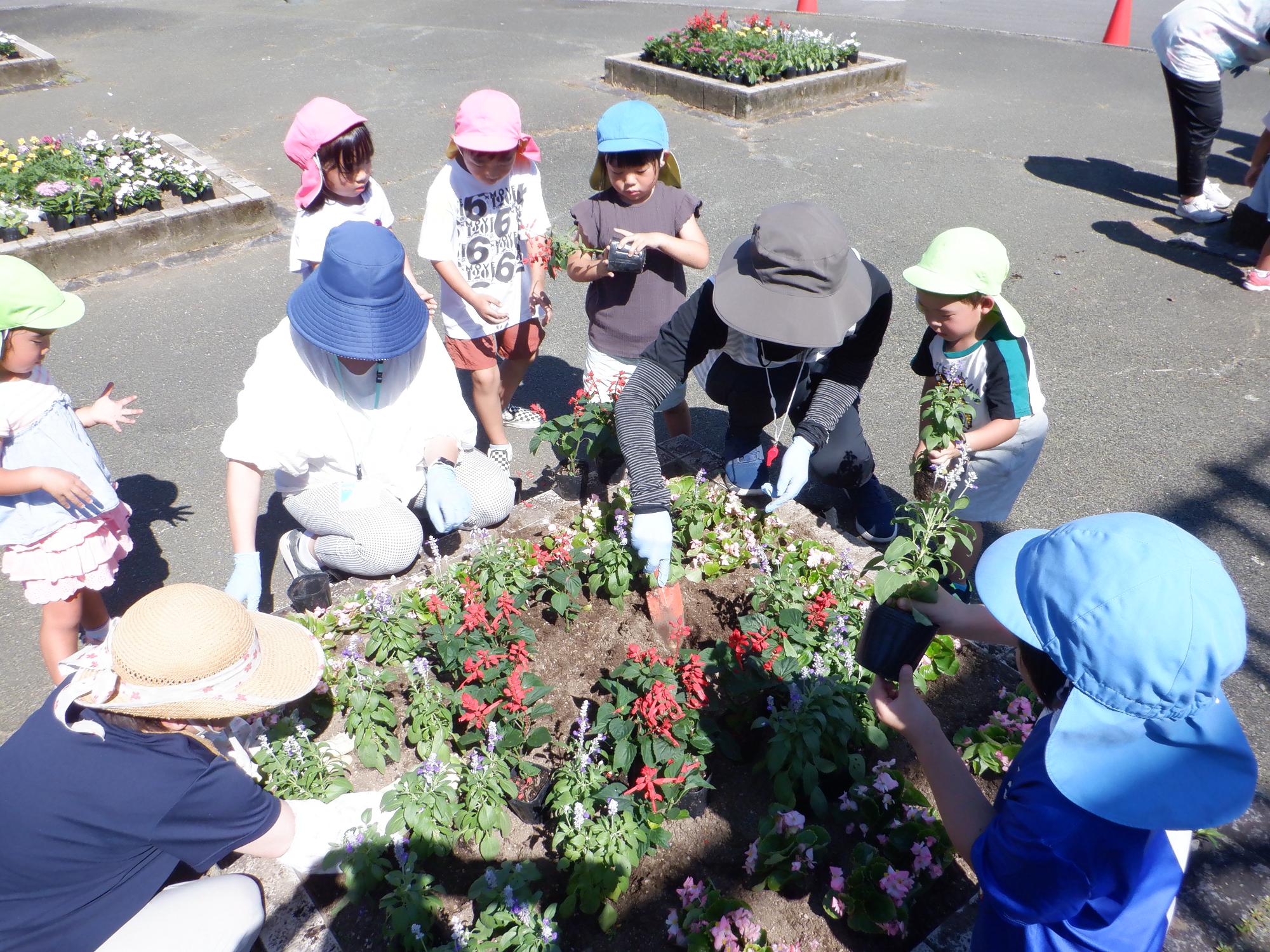 花植え・子ども達・道の駅・夏の花