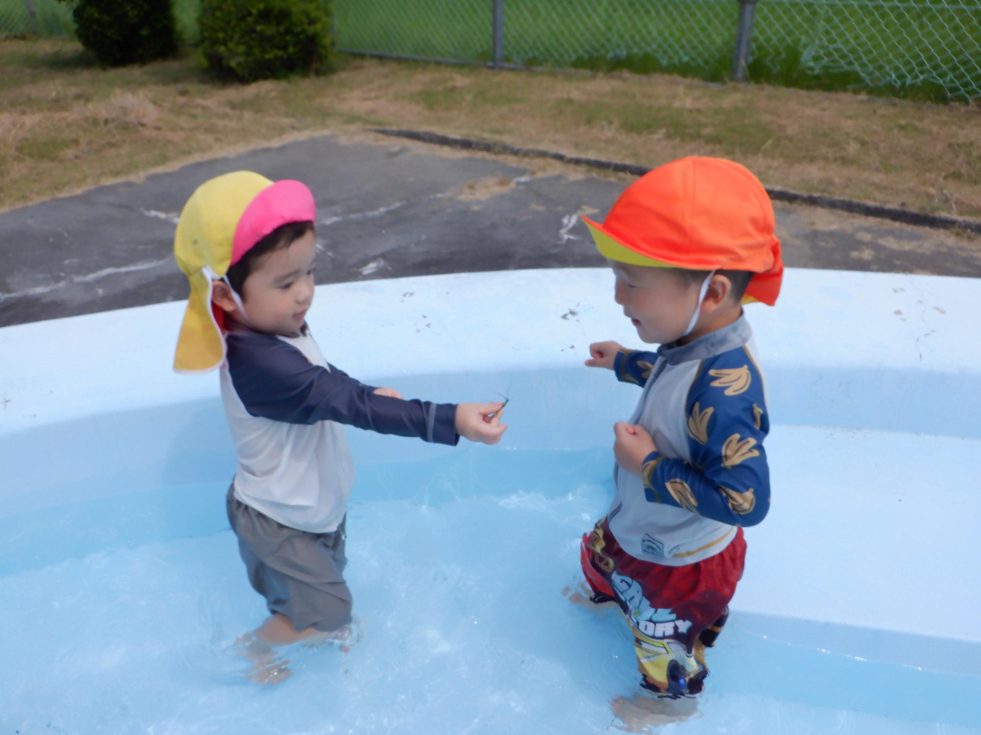 プール遊び・虫・子ども達