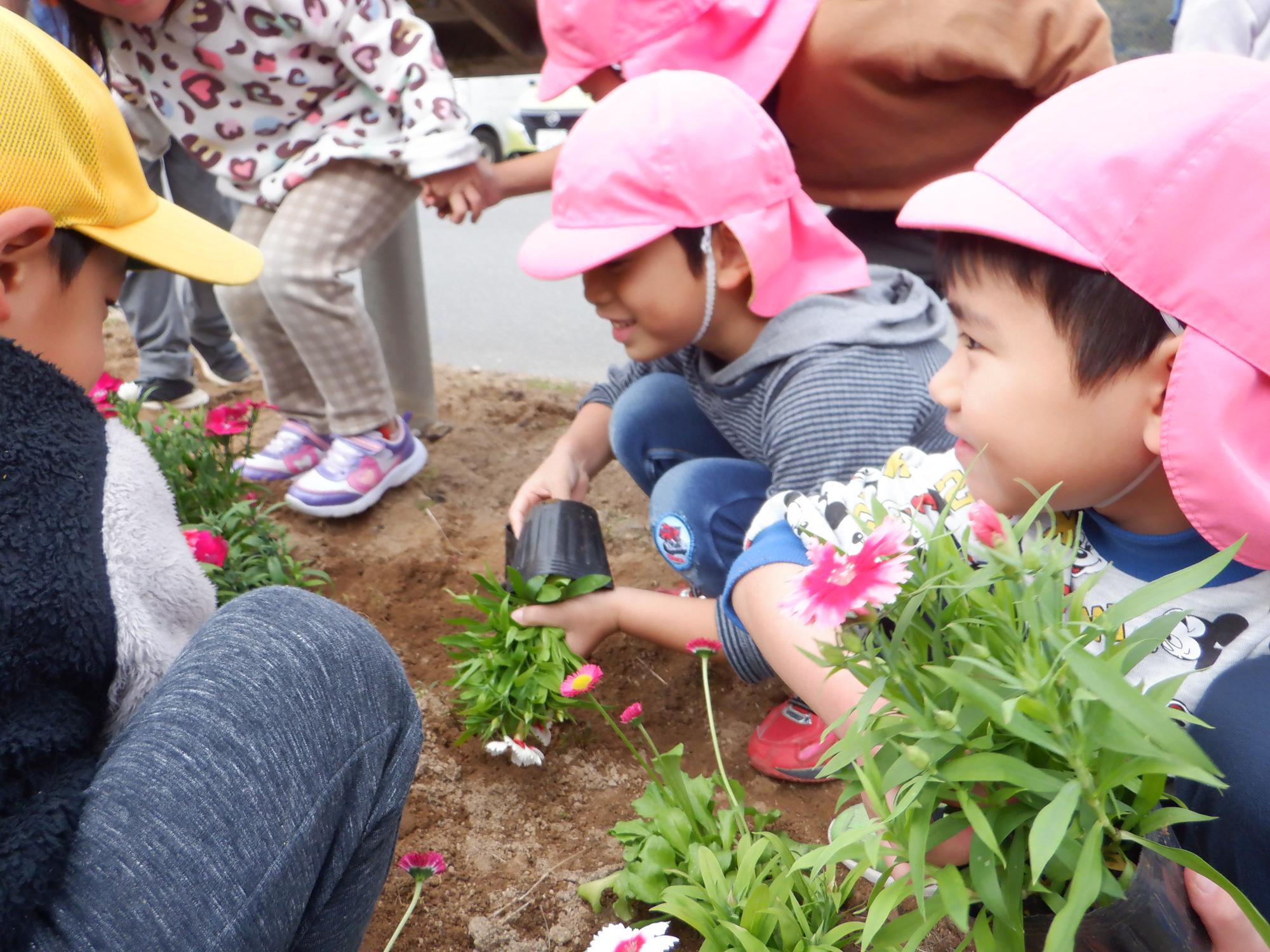 道の駅、小学生、園児、花植え4