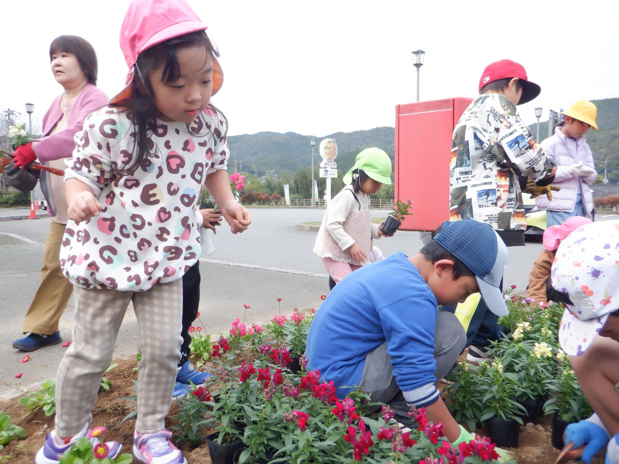 道の駅、小学生、園児、花植え2