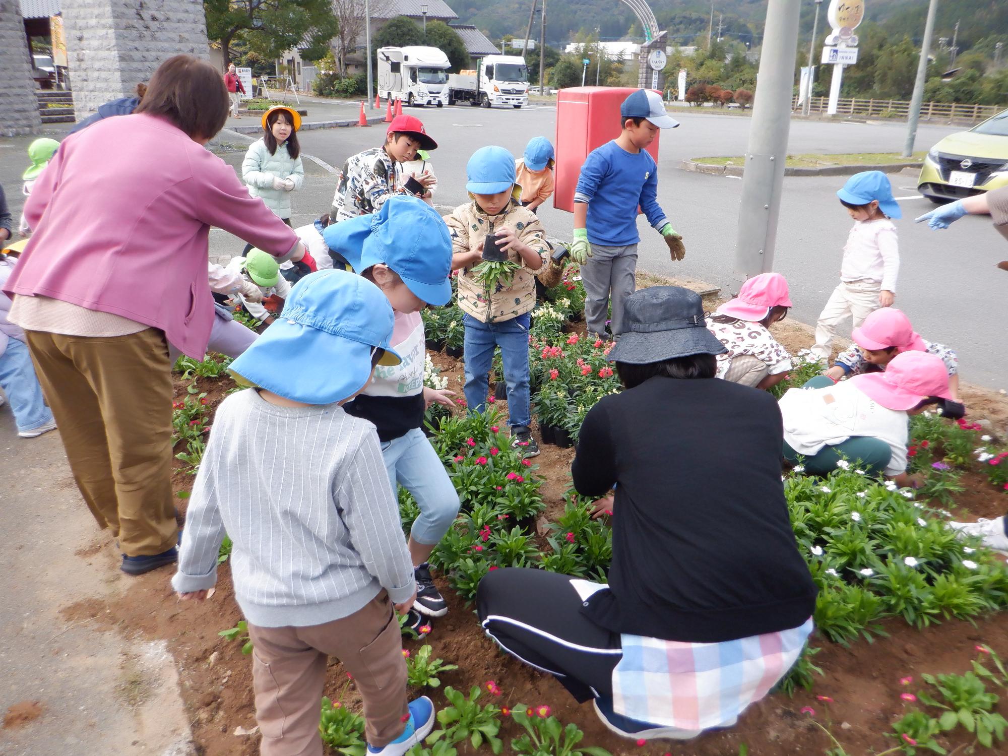道の駅、小学生、園児、花植え3