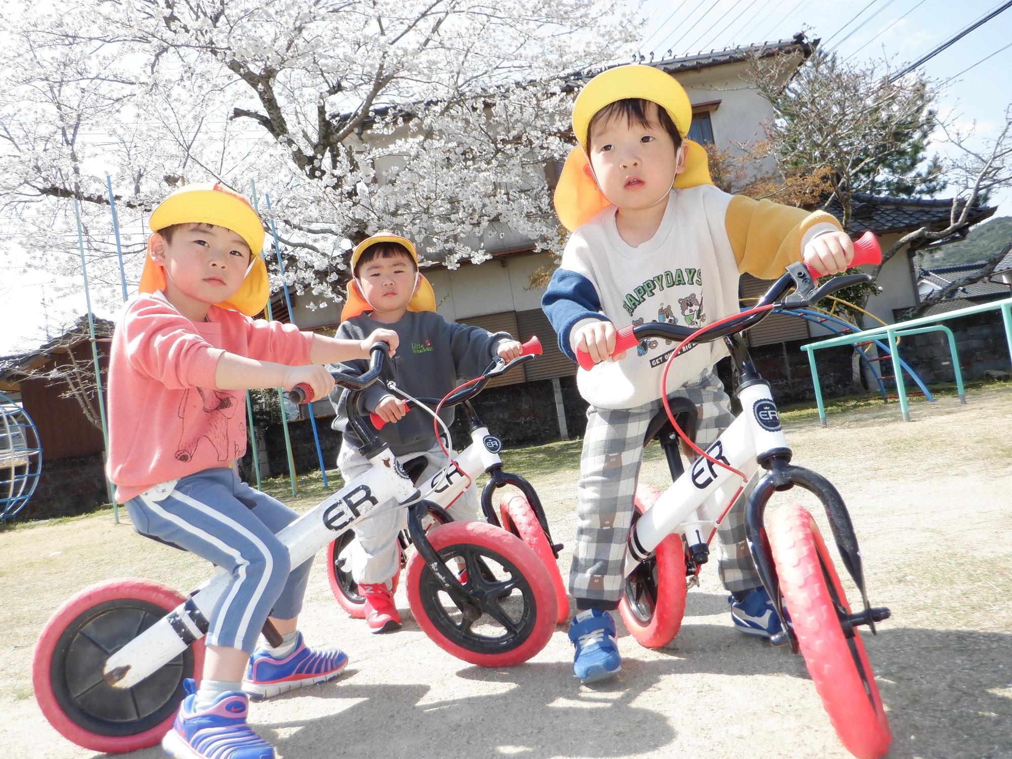 子ども・戸外遊び・ストライダー・桜