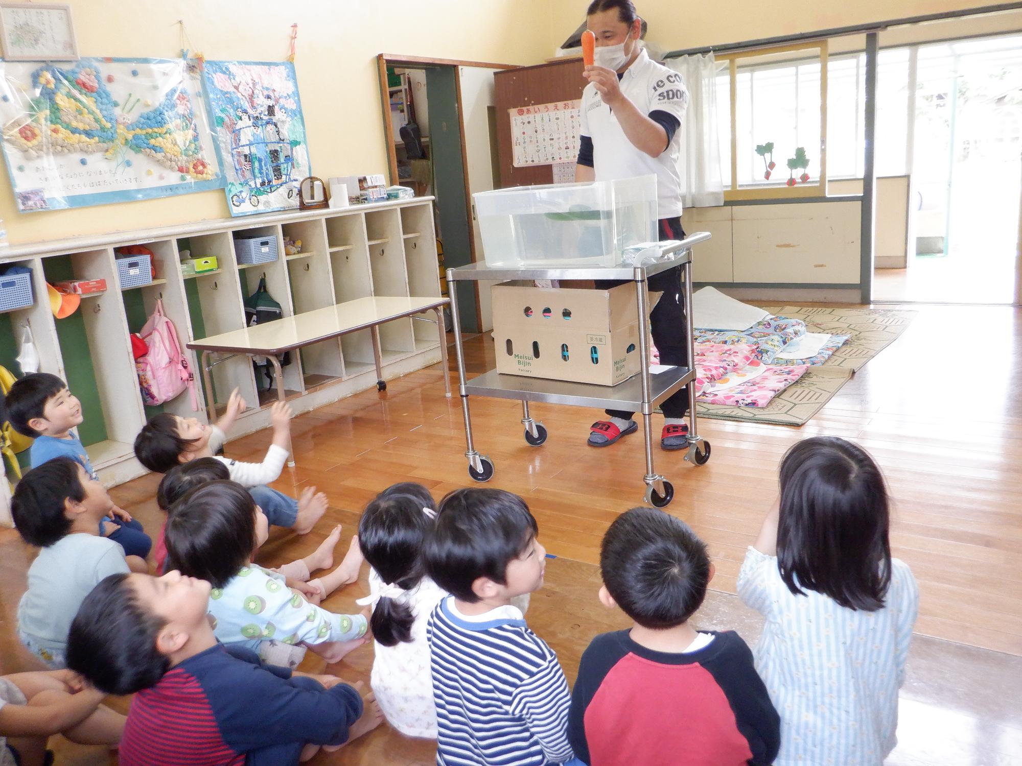 野菜が水に浮くか浮かないか実験