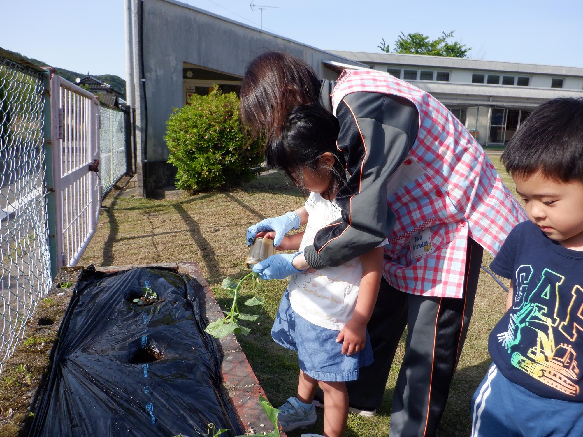 4歳児やさい植え付け