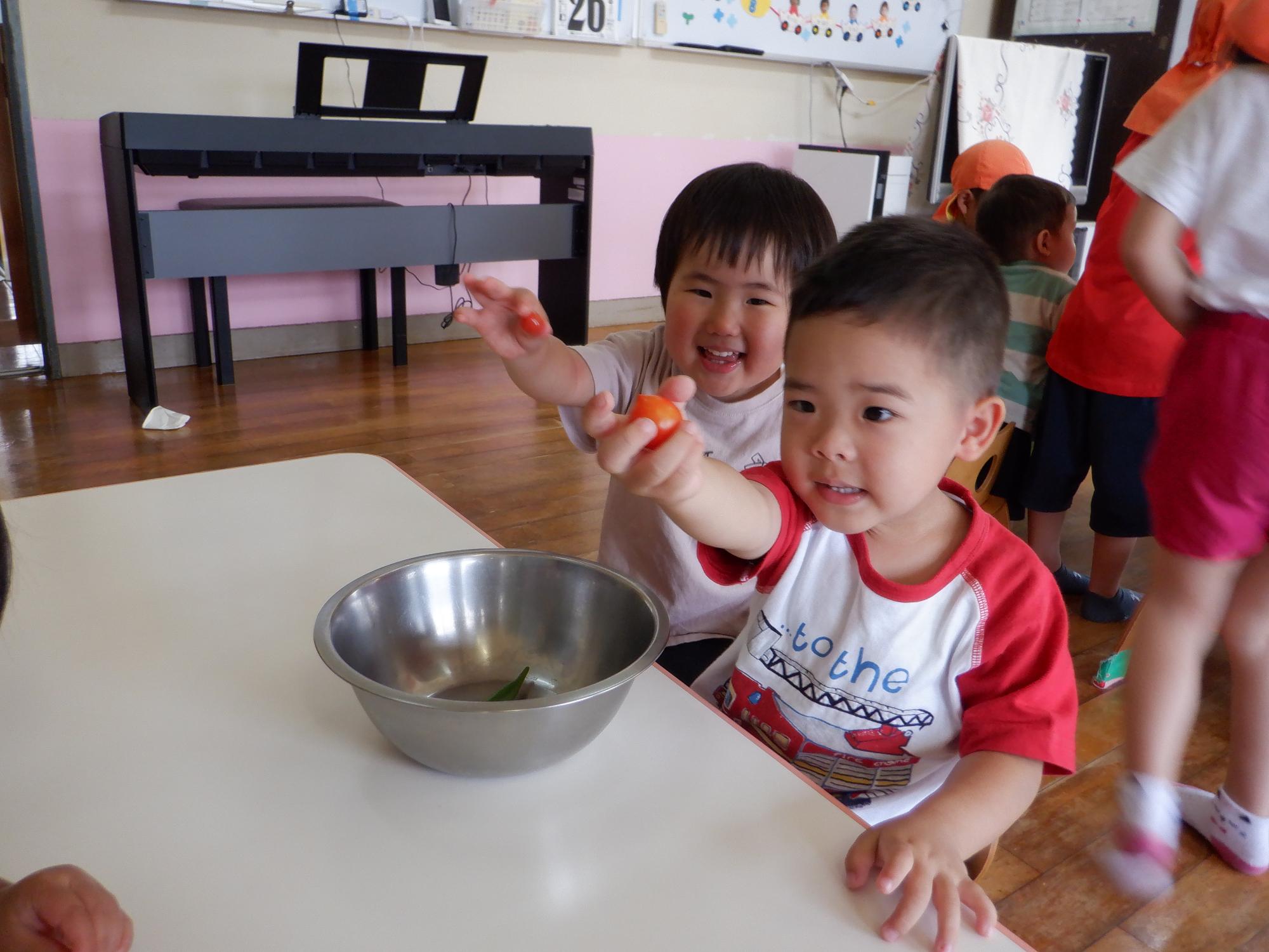 トマトを見せる子ども二人、真っ赤なミニトマト、キラキラしてる、