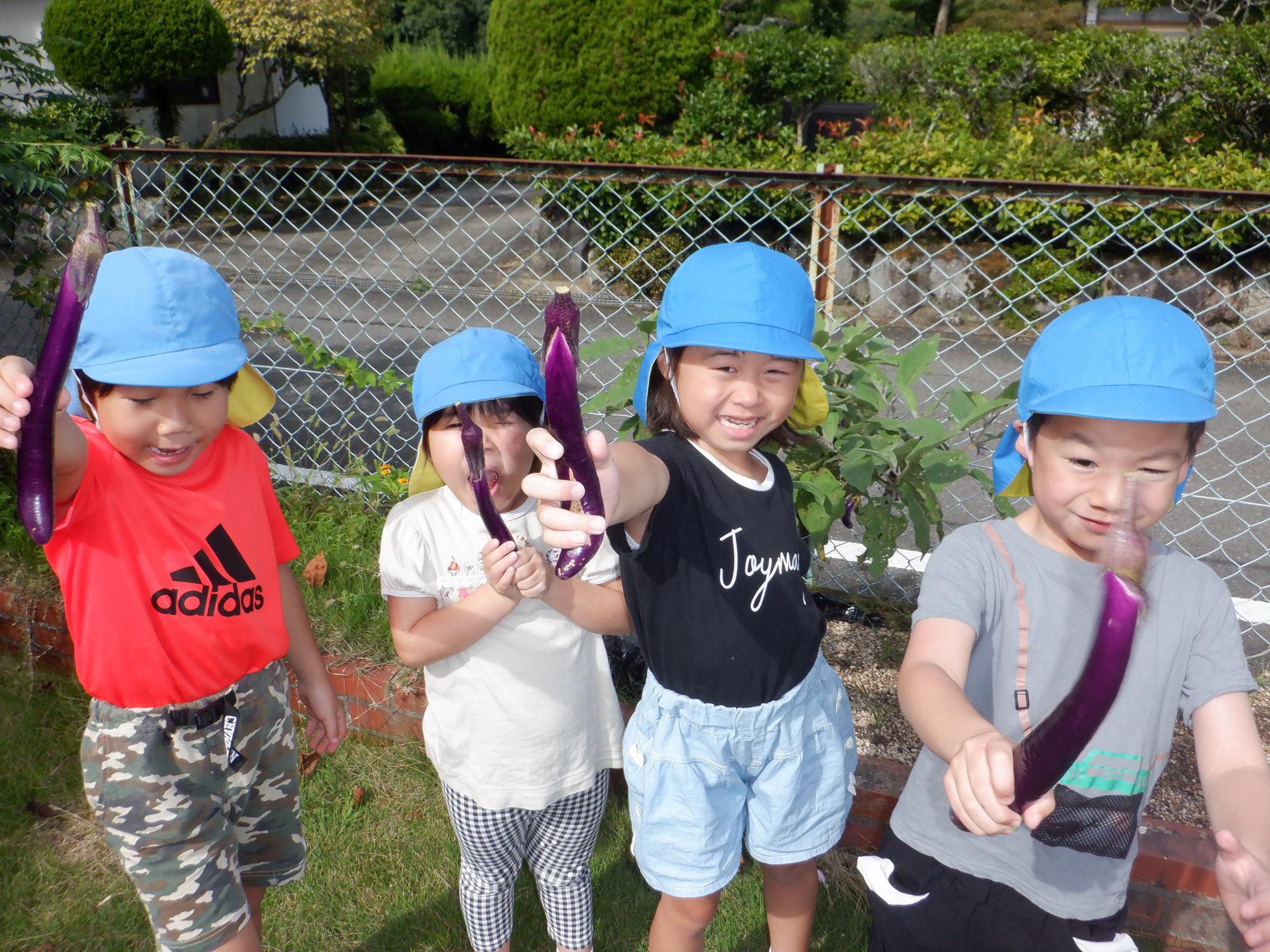 野菜の収穫、ナス、子ども
