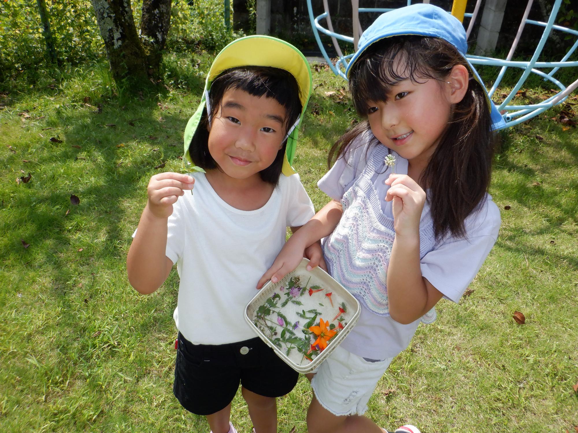 戸外遊び、子ども、秋の草花