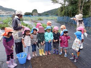 芋ほりの説明を聞いています