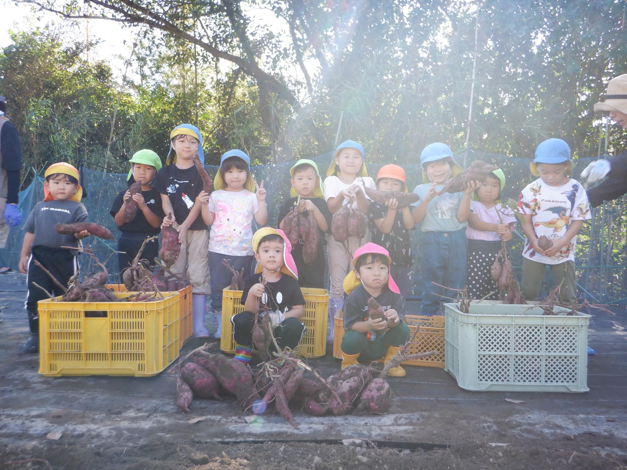 みんなで芋収穫