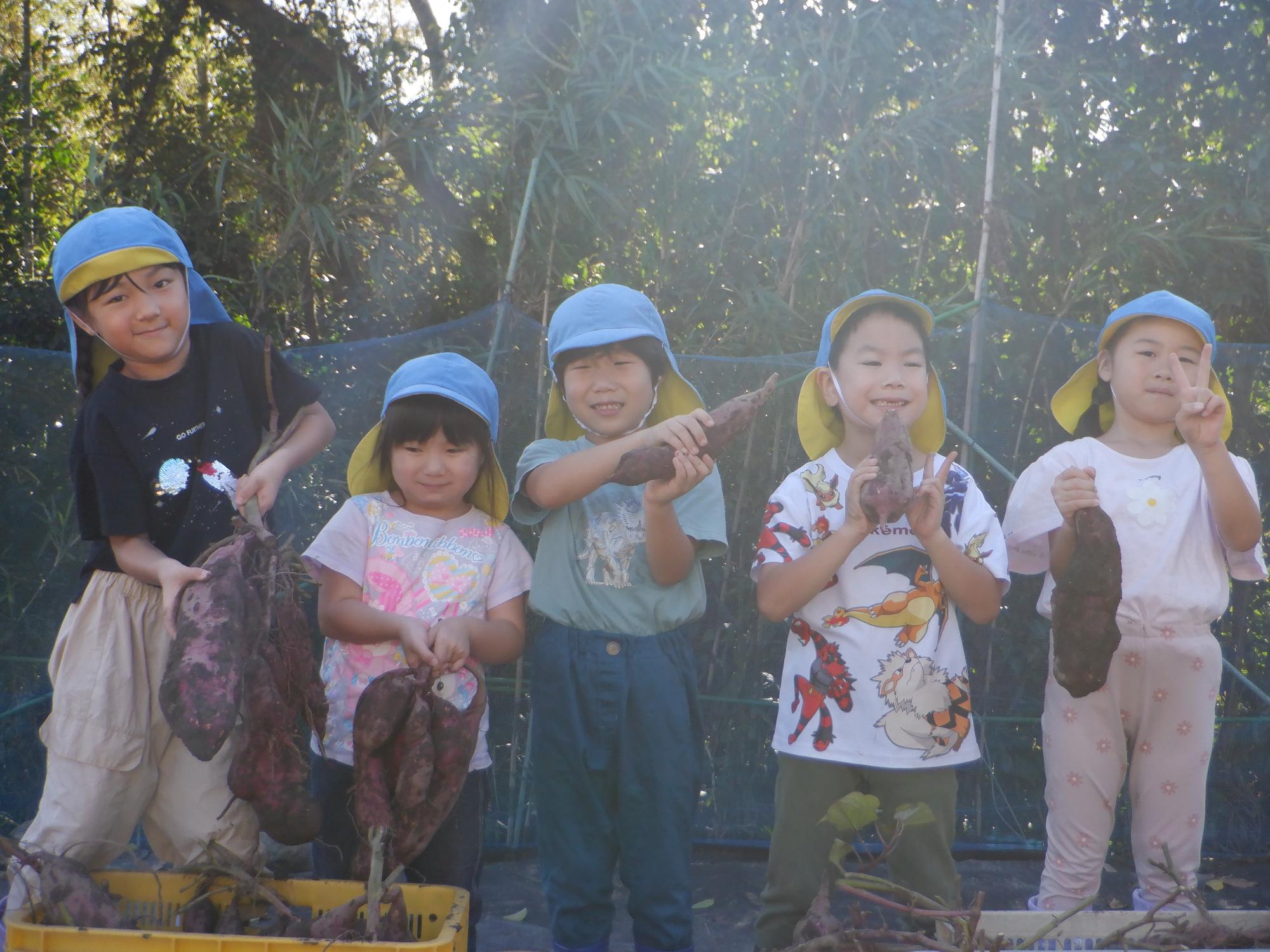 大きなお芋とれたね