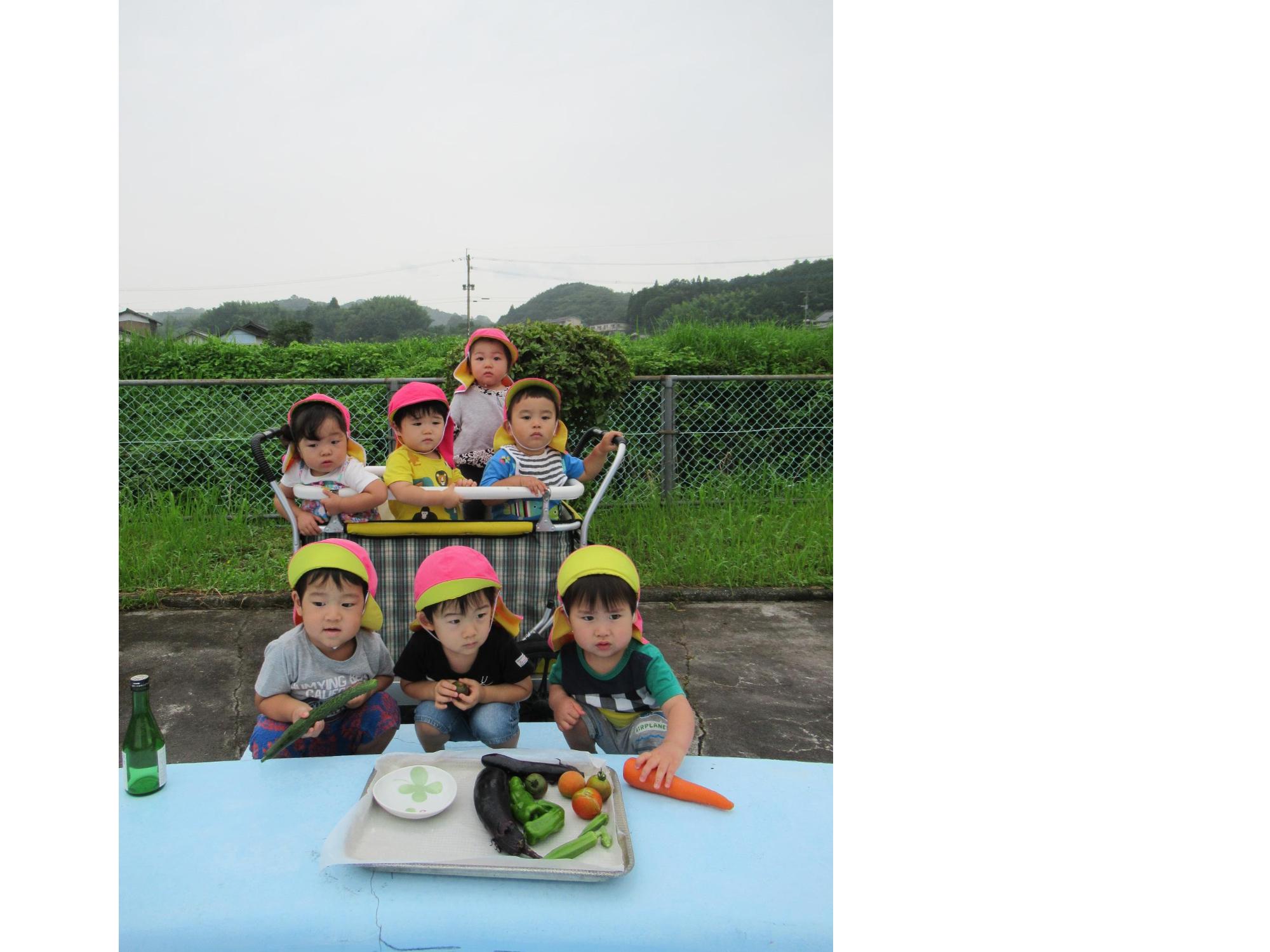 プールを前に集合写真