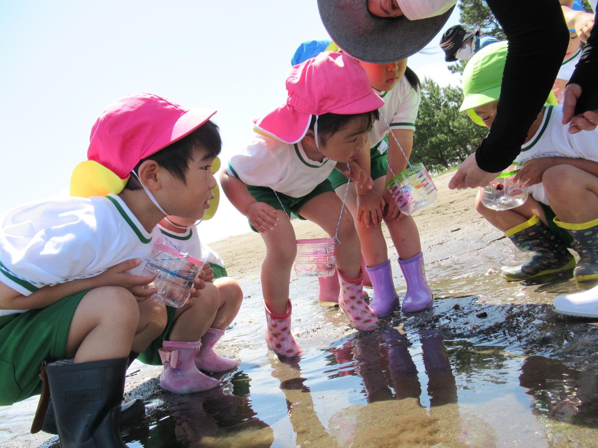 ハゼ、イソギンチャクどこどこ？集まる子ども