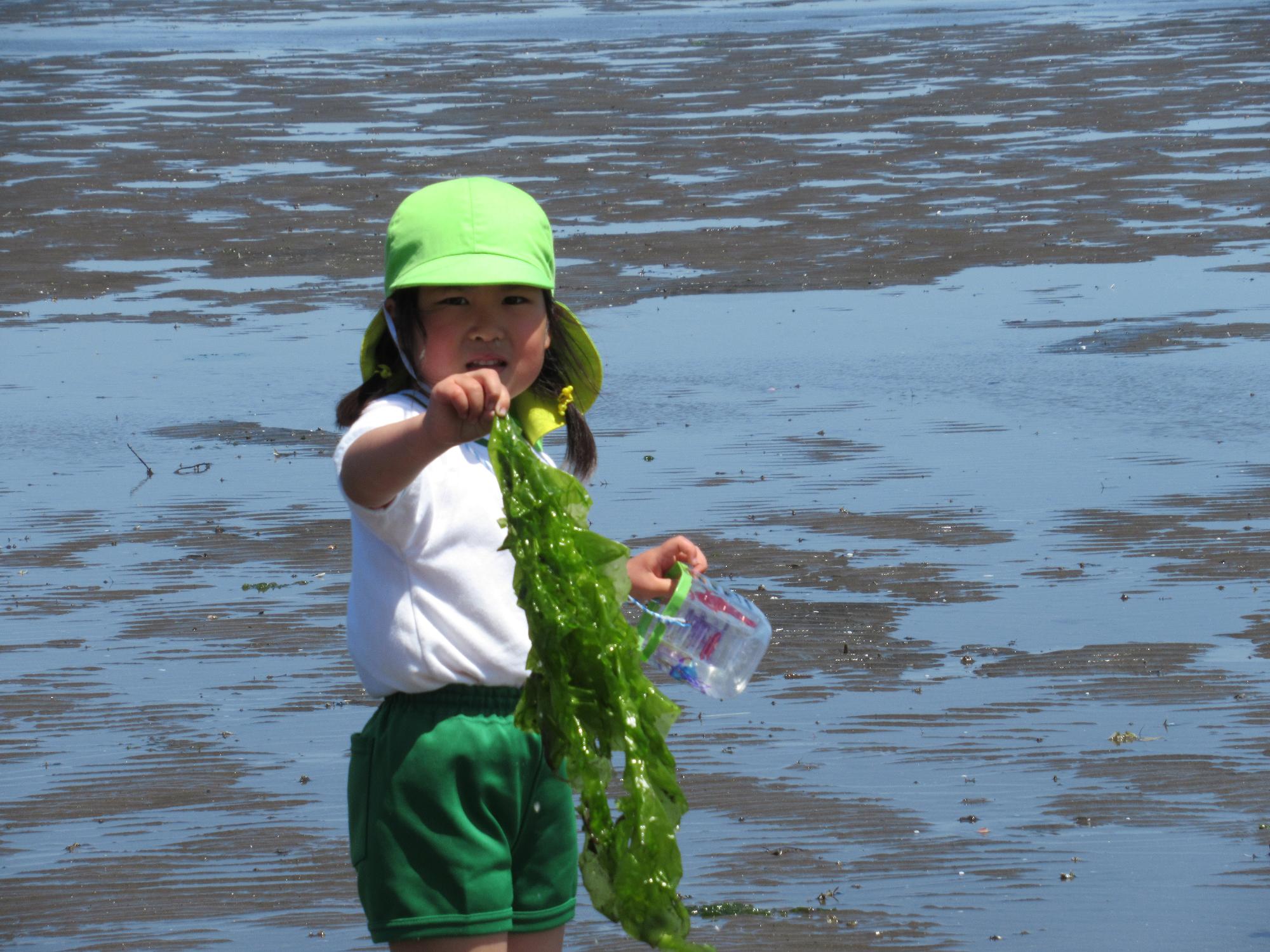 わかめを持つ子ども、大きなわかめ、