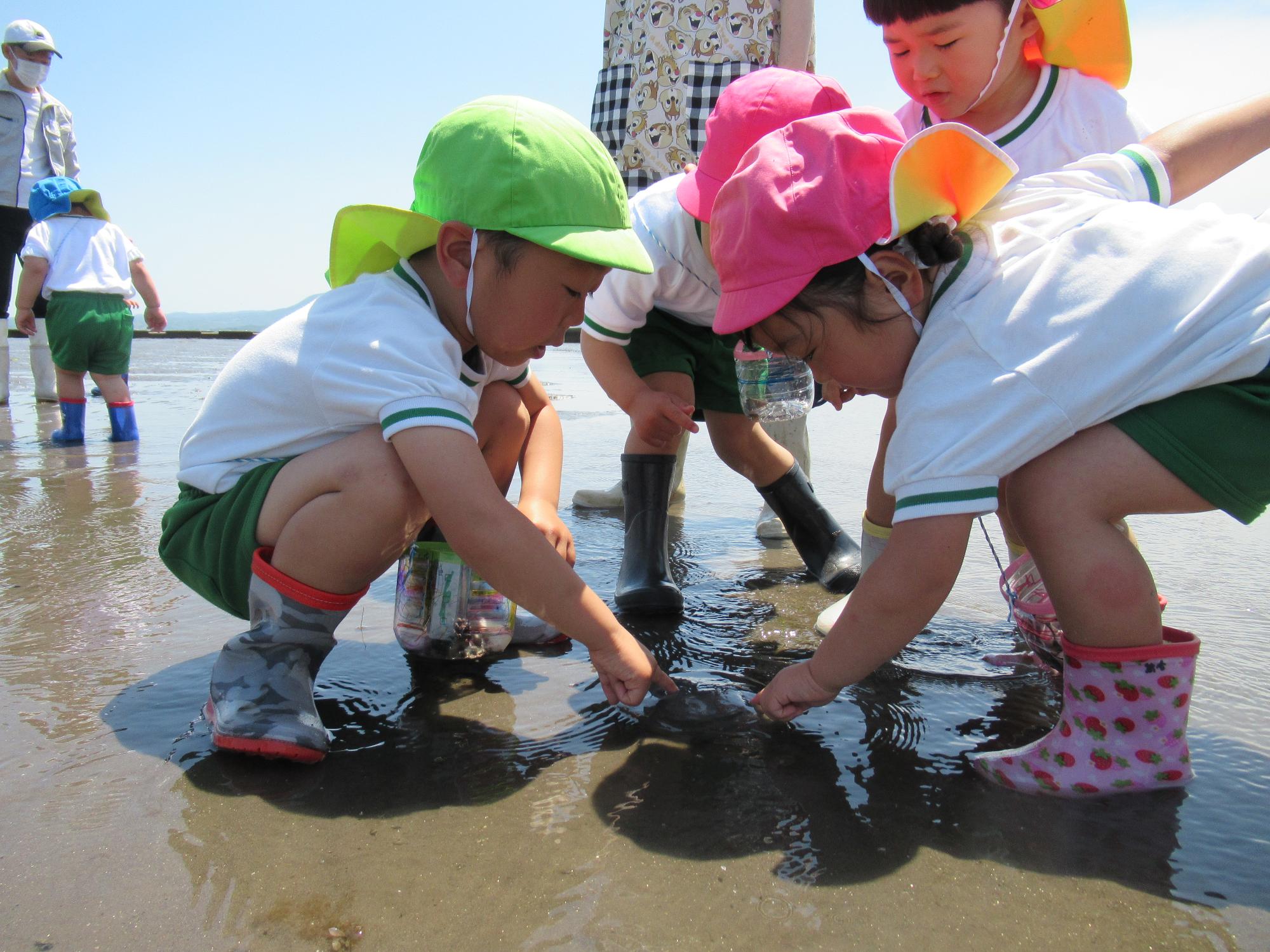 海、クラゲを触る子ども、