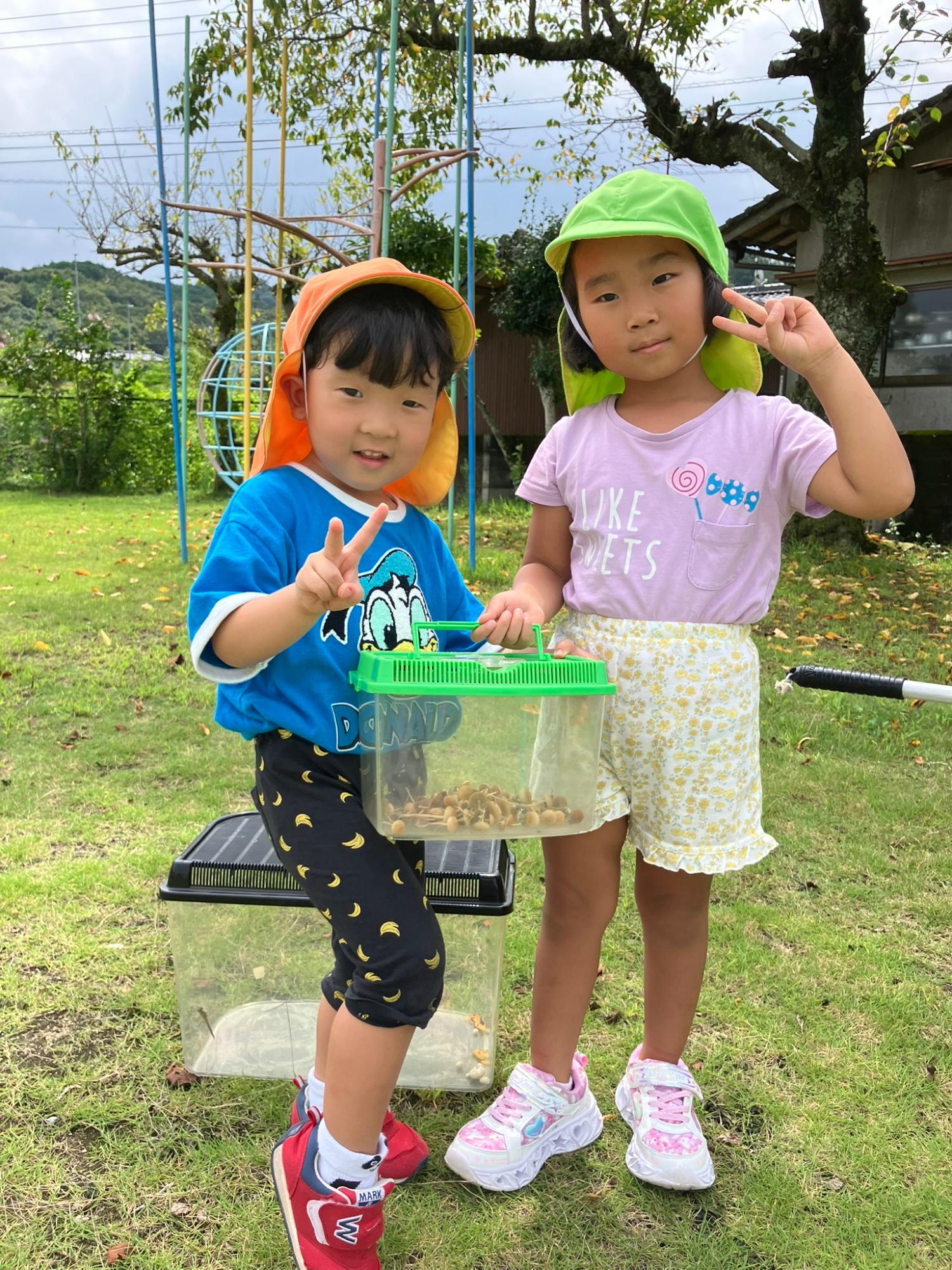 戸外遊び、虫かご、キノコ、子ども