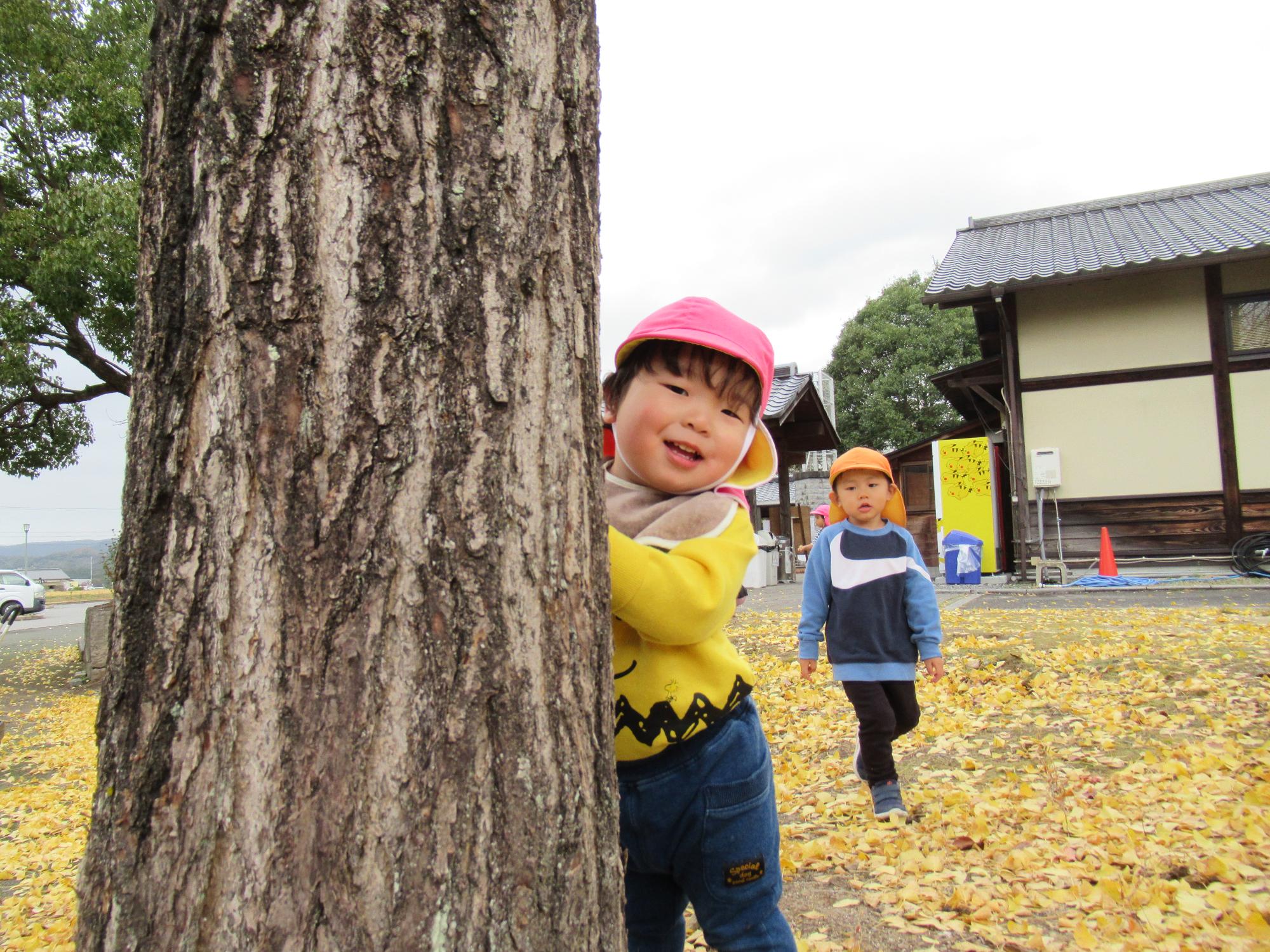 気の後ろからひょっこり顔出す男の子