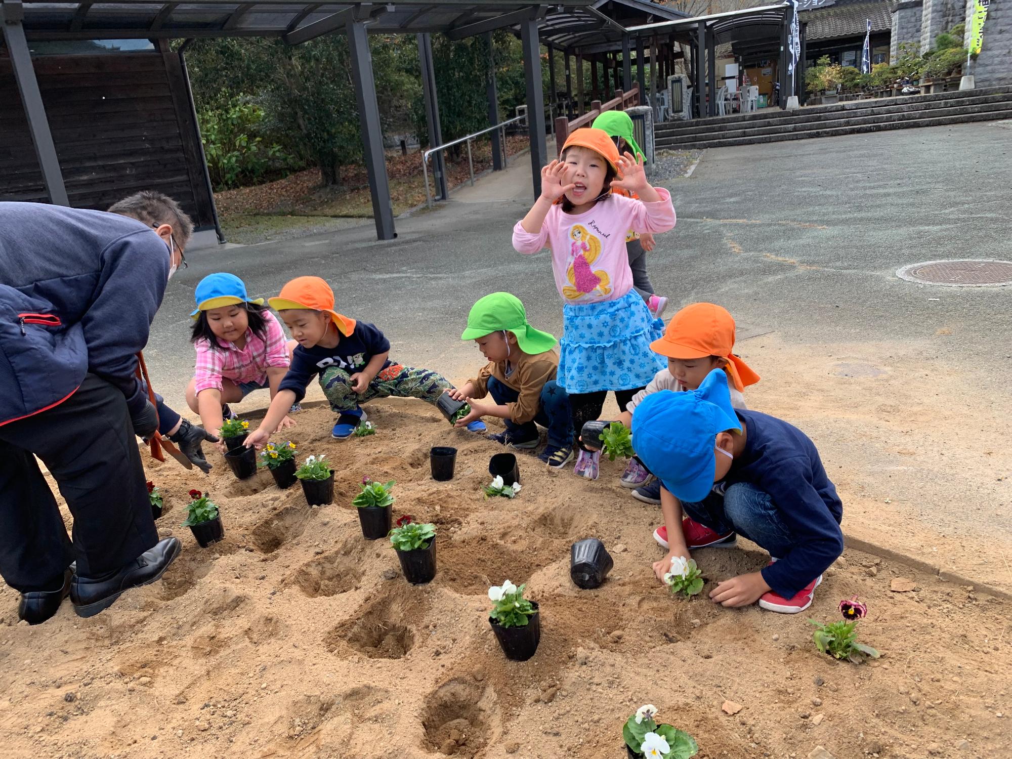 苗植え中