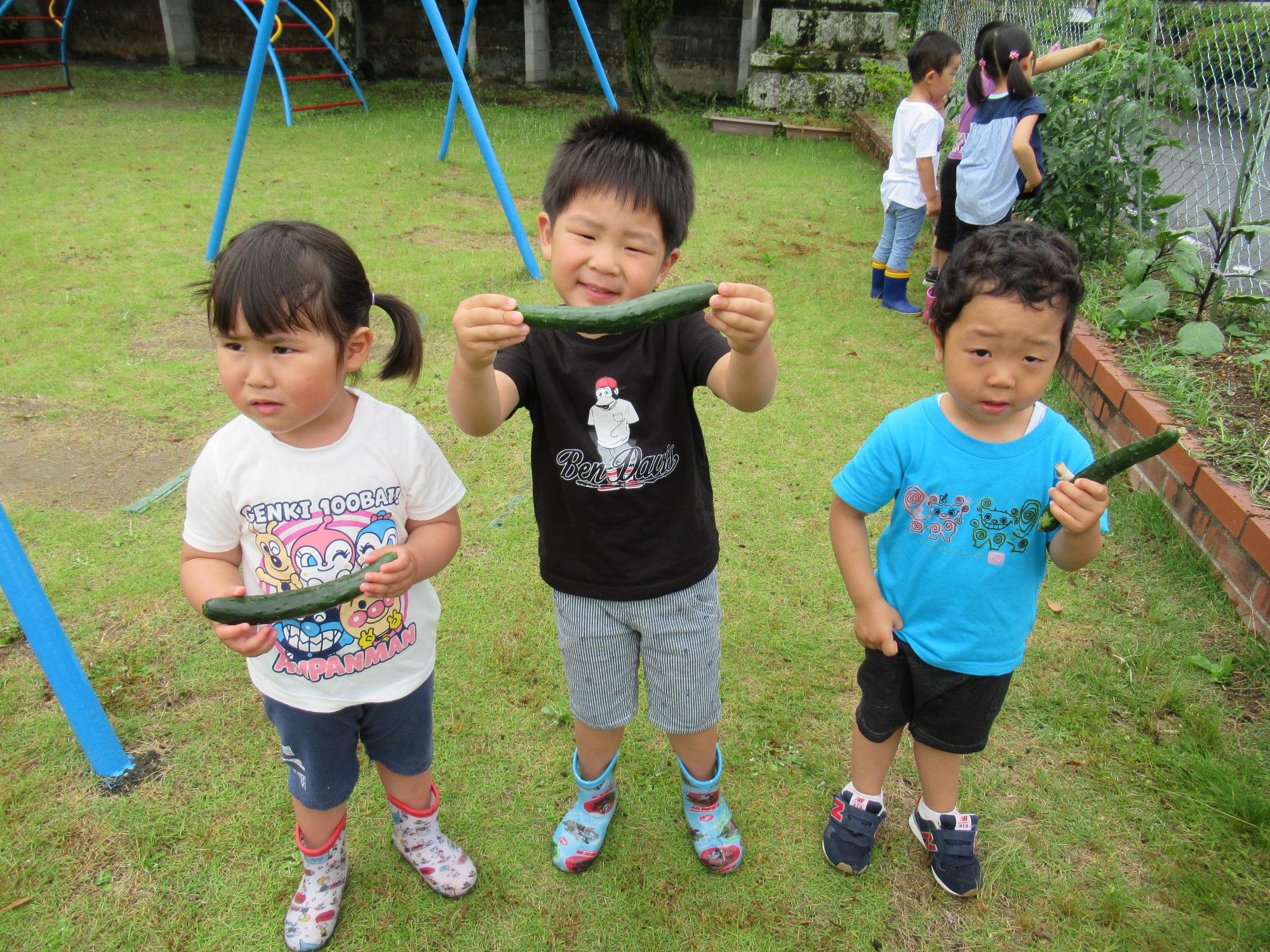 きゅうりを持って写る年少児