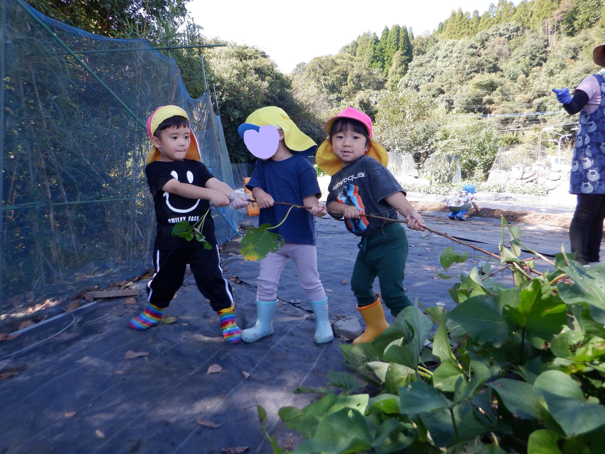 1,2歳児さん芋ずる引っ張り遊び