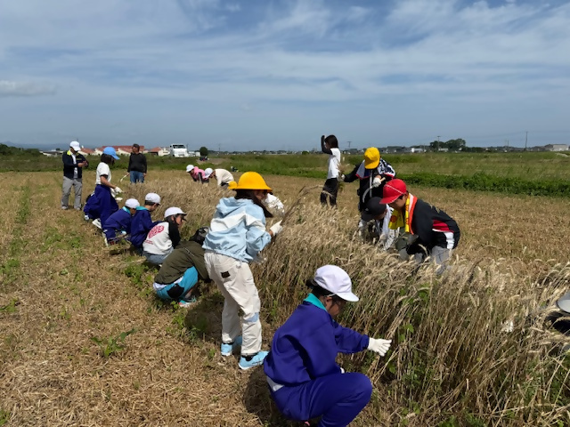 糸口小学校1