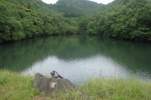 ため池の様子