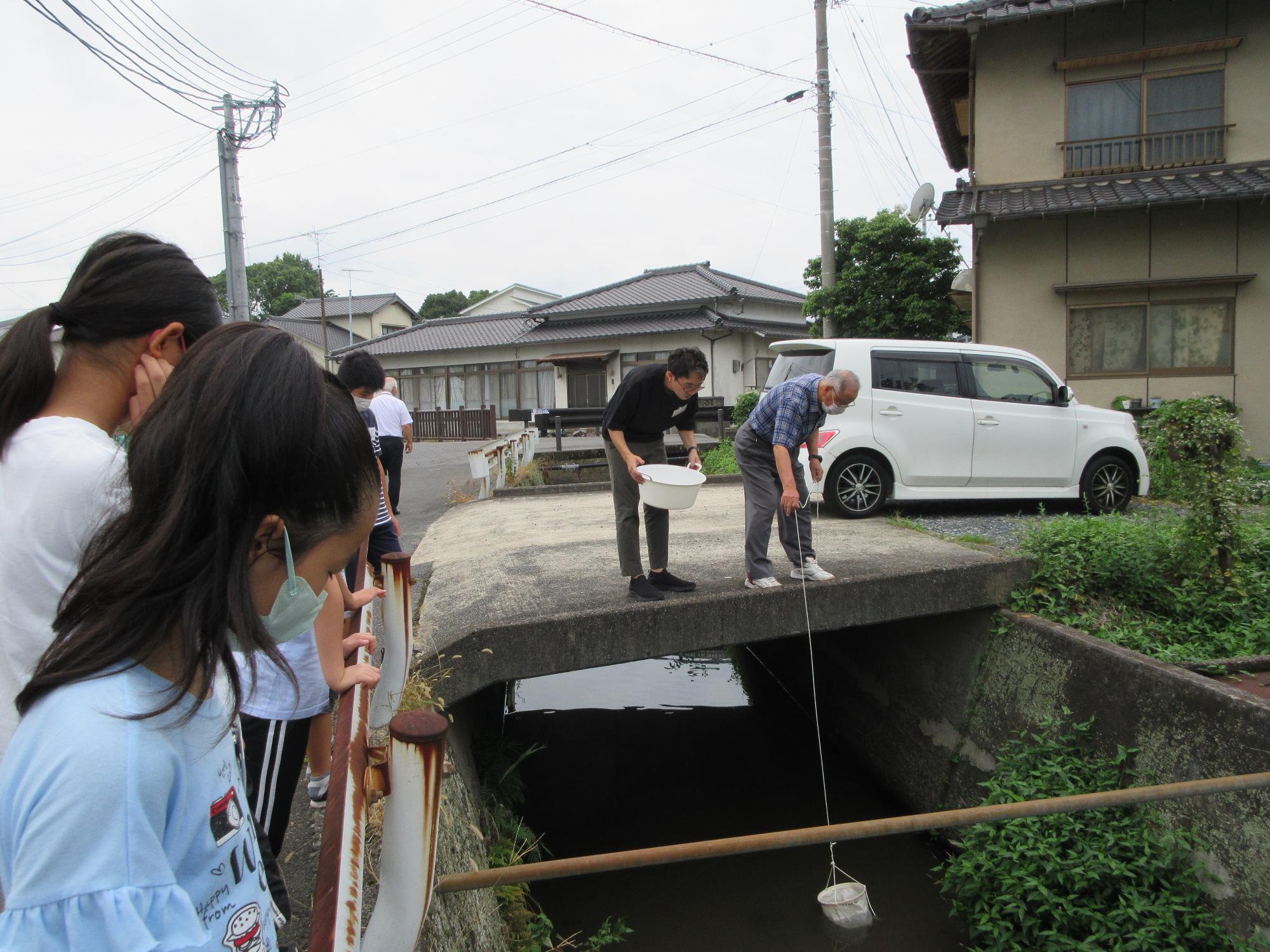 コミュニティーセンター 裏の水路にて採集