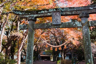 佐田神社1