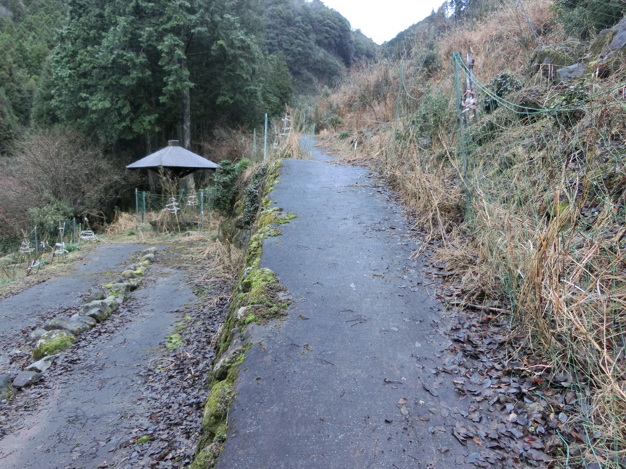 余の滝遊歩道