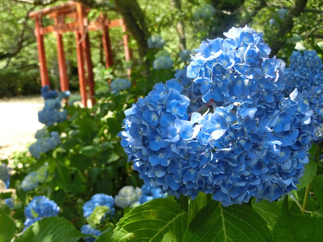 響山地区公園