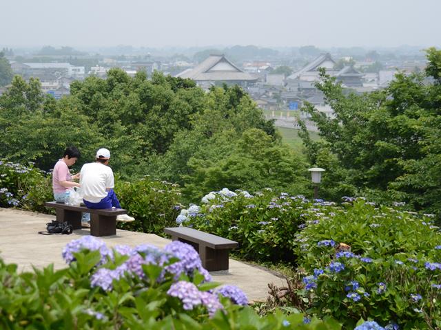 響山地区公園