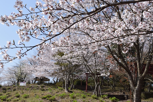 響山地区公園