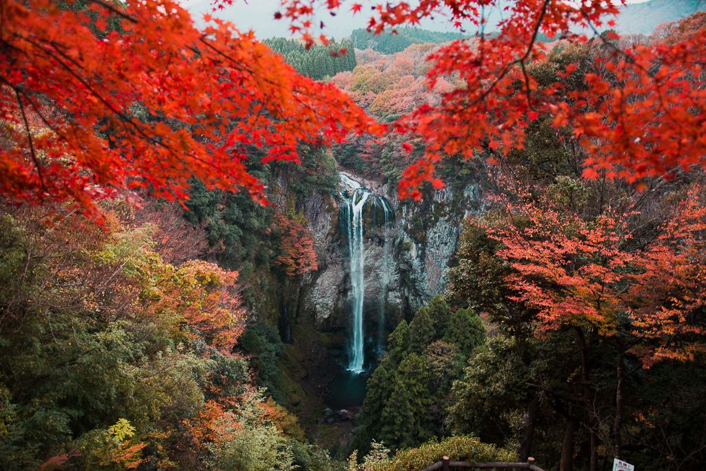 福貴野の滝