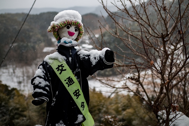 西椎屋の景雪