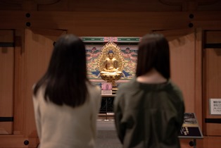 大分県歴史博物館