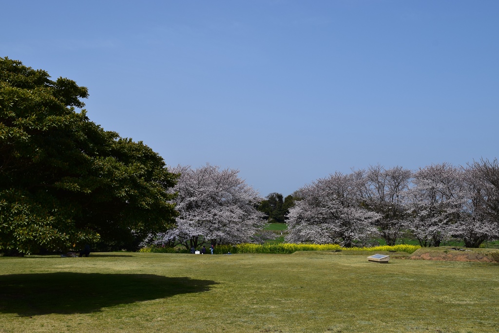 大分県歴史博物館