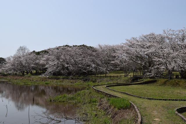 大分県歴史博物館