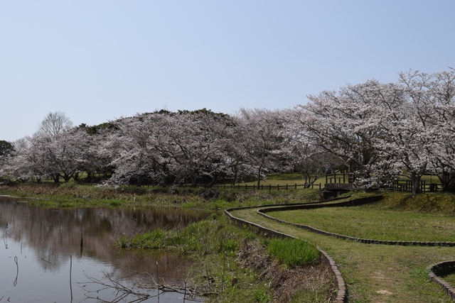 大分県歴史博物館